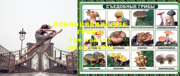 mix Армянск